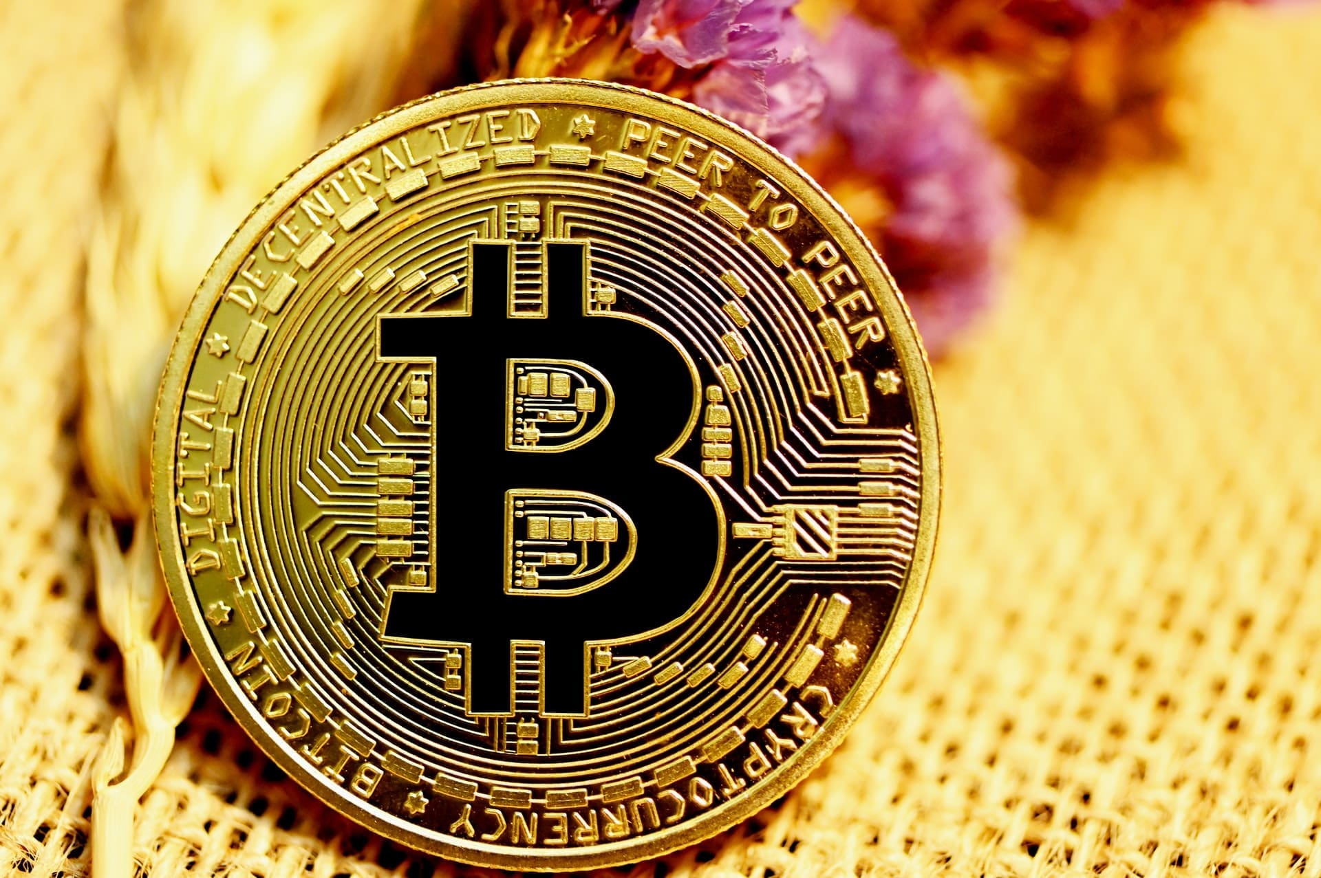 Pump crypto : Le Bitcoin